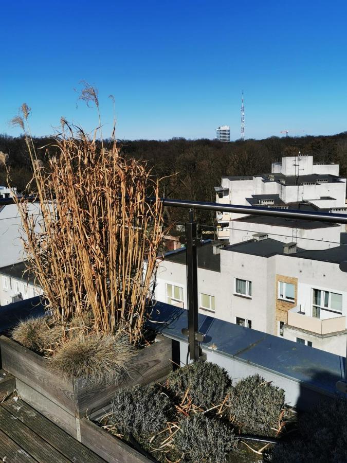 Apartment Paula Svinoústí Exteriér fotografie